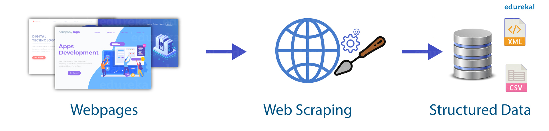 Web scraping software